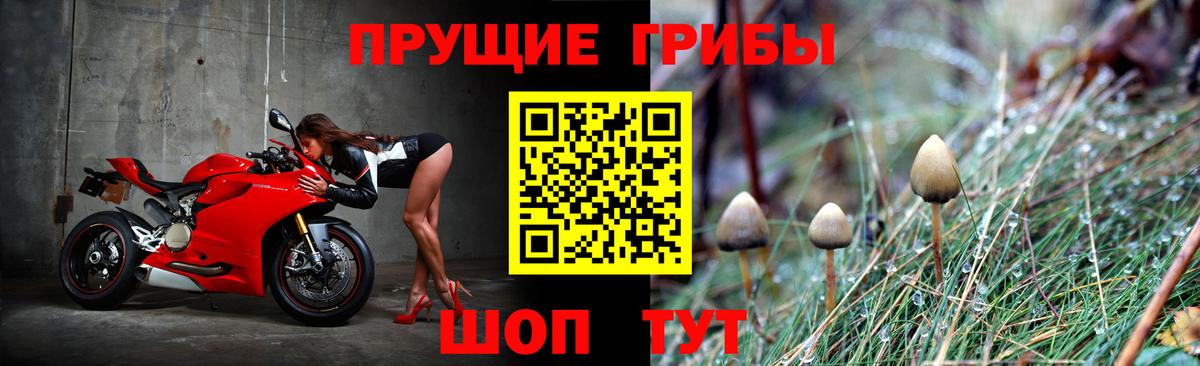 Галлюциногенные грибы Magic Shrooms  Вход с VPN  Мытищи  Псилоцибиновые грибы MAGIC MUSHROOMS 