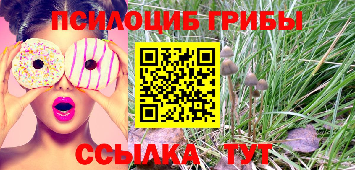 Псилоцибиновые грибы MAGIC MUSHROOMS Мытищи