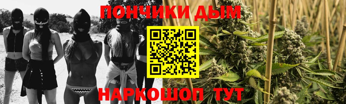 Бошки Шишки семена  Вход с VPN  Мытищи  Бошки Шишки VHQ  Конопля Amnesia 